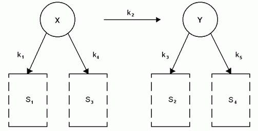 Многокомпонентная структура процесса обмена веществ