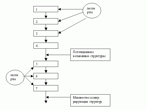 Множество конкурирующих структур Множество конкурирующих структур