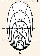 Схема иерархических объединений функциональных систем различной сложности, построенных на одном пейцмекерном физиологическом образовании Схема иерархических объединений функциональных систем различной сложности, построенных на одном пейцмекерном физиологическом образовании